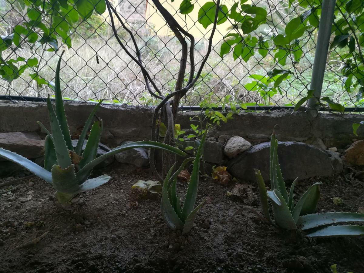הוילה וייהרמוסו Casa La Terraza מראה חיצוני תמונה