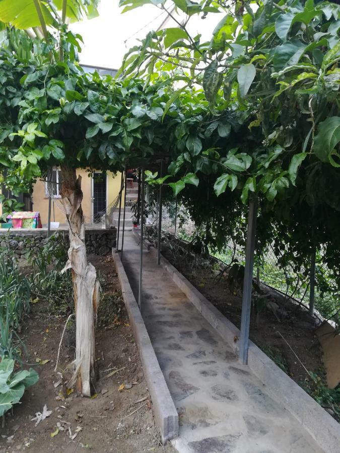 הוילה וייהרמוסו Casa La Terraza מראה חיצוני תמונה