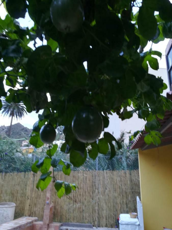 הוילה וייהרמוסו Casa La Terraza מראה חיצוני תמונה